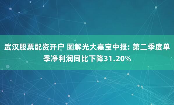 武汉股票配资开户 图解光大嘉宝中报: 第二季度单季净利润同比下降31.20%