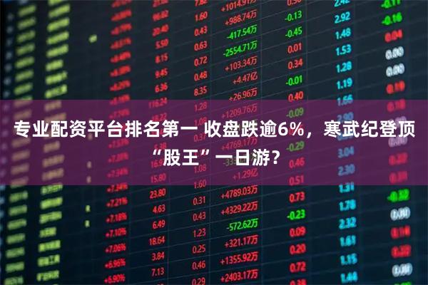 专业配资平台排名第一 收盘跌逾6%，寒武纪登顶“股王”一日游？